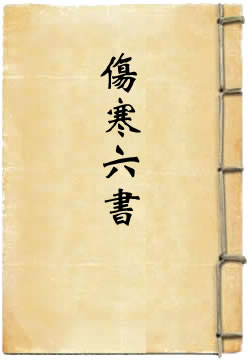 伤寒六书