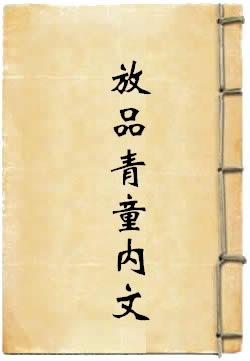 上清外国放品青童内文