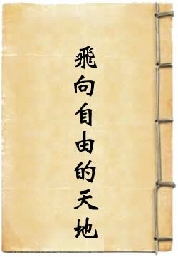 我怎样飞向了自由的天地