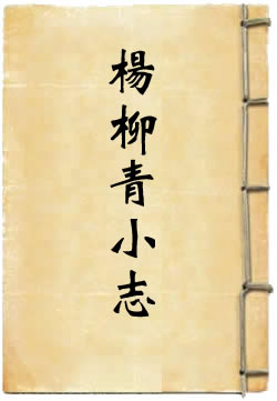 杨柳青小志